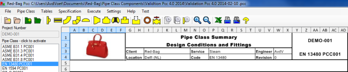 Summary header layout in PCC report